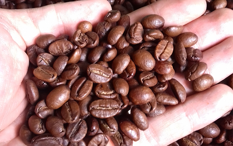 Cà phê hạt Arabica CBK